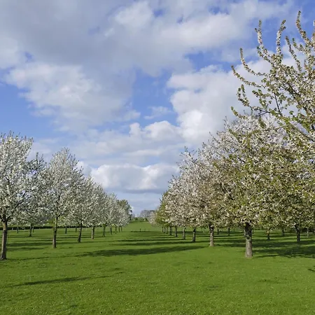 Meschermolen 9 Mesch