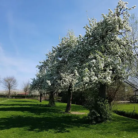 Meschermolen 9 Mesch