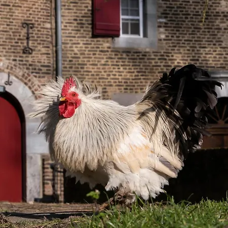 Apartamento Meschermolen 9 Mesch