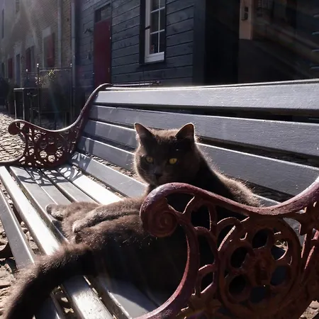 Meschermolen 9 * Mesch