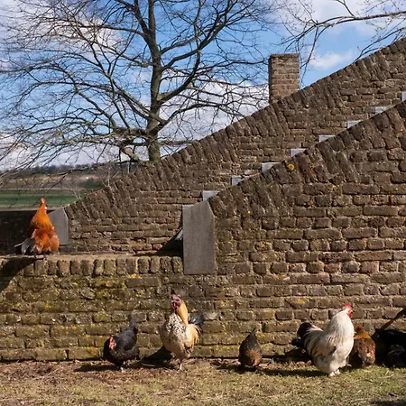 Meschermolen 9 Appartement Mesch