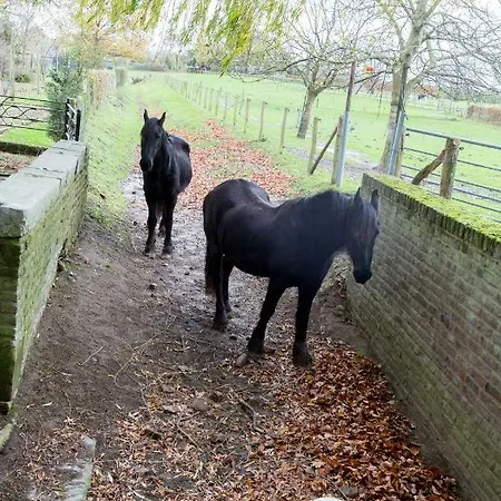 Apartamento Meschermolen 9 Mesch