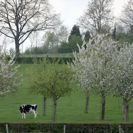 Meschermolen 9 Apartamento *