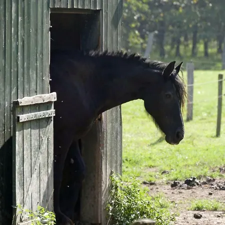 Meschermolen 9
