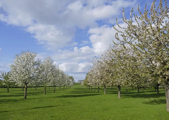 Meschermolen 9 Mesch