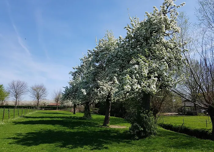 Meschermolen 9 Mesch