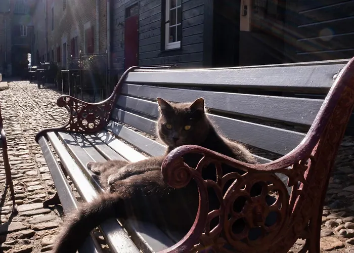 Meschermolen 9 * Mesch