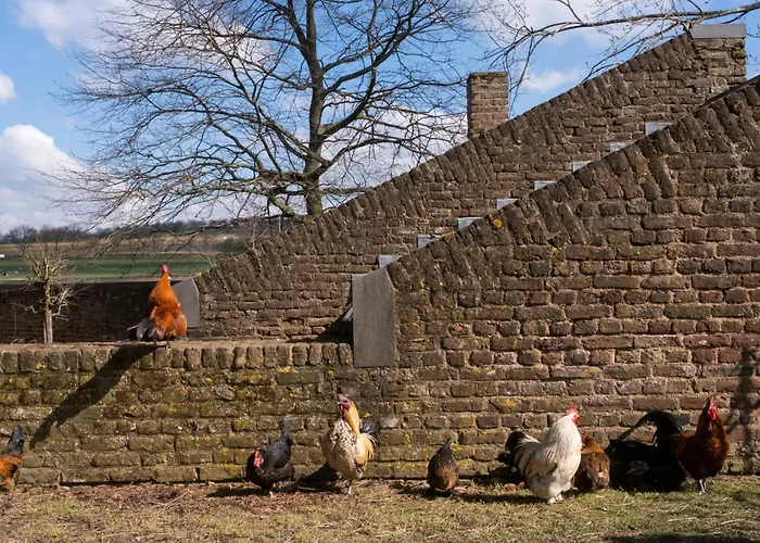 Meschermolen 9 شقة Mesch