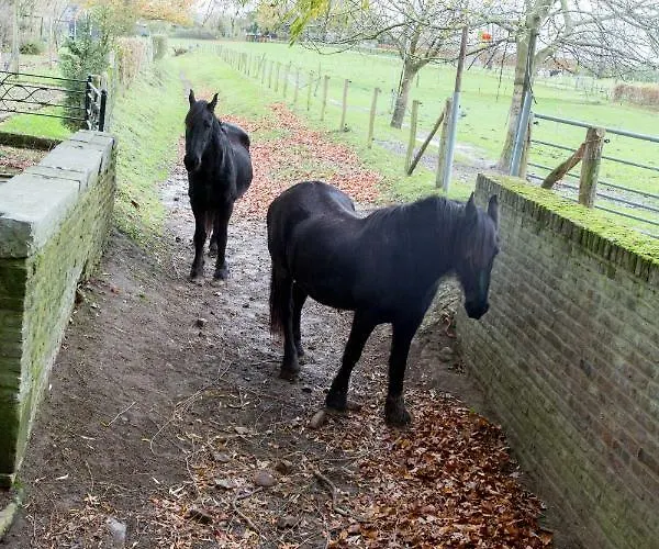 شقة Meschermolen 9 Mesch