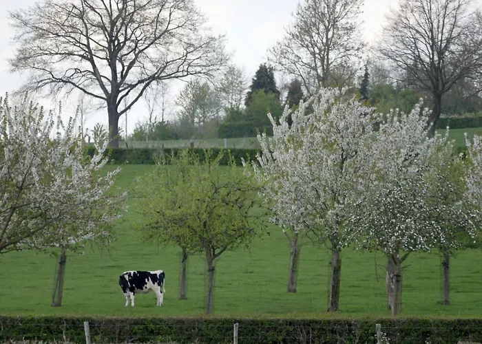 Meschermolen 9 شقة *