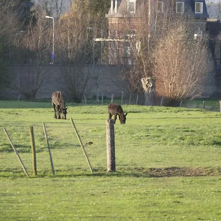 Meschermolen 9